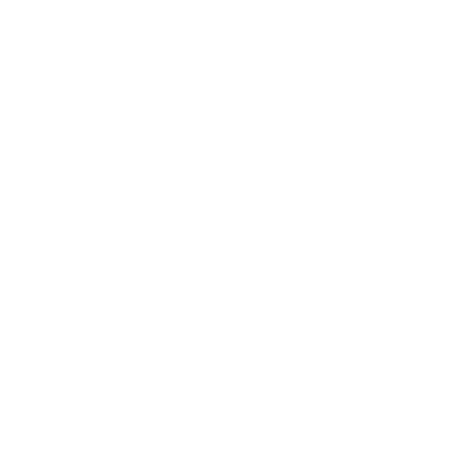 Wütendes Buch von Lina Ijn