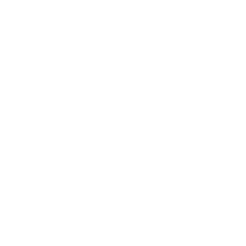 Wütendes Buch von Valynsky Studio