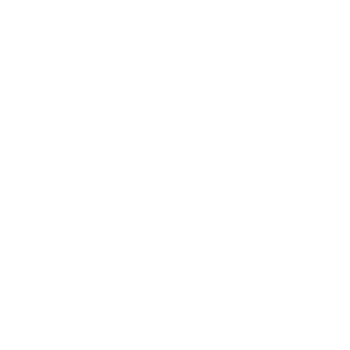 Wütendes Buch von Svenja Ahrens