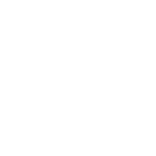 Wütendes Buch von suse schröder