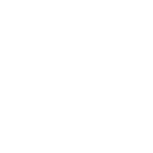 Wütendes Buch von Ludmilla Rech